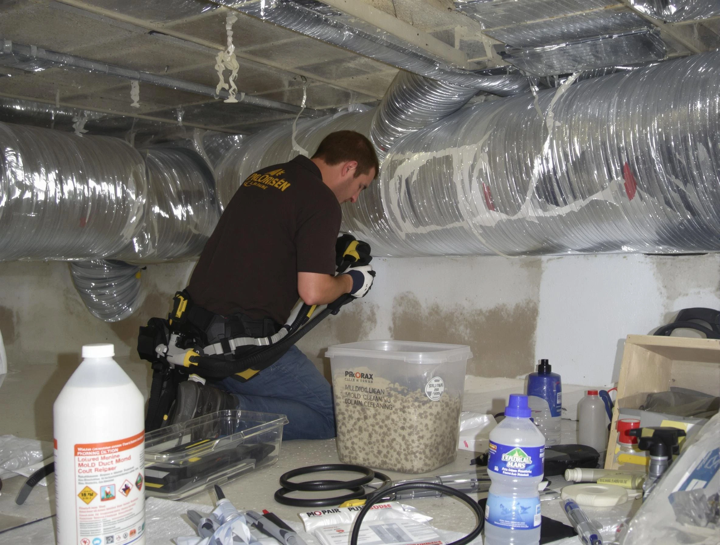Niwot Air Duct Cleaning specialist performing professional mold removal from air ducts in Niwot